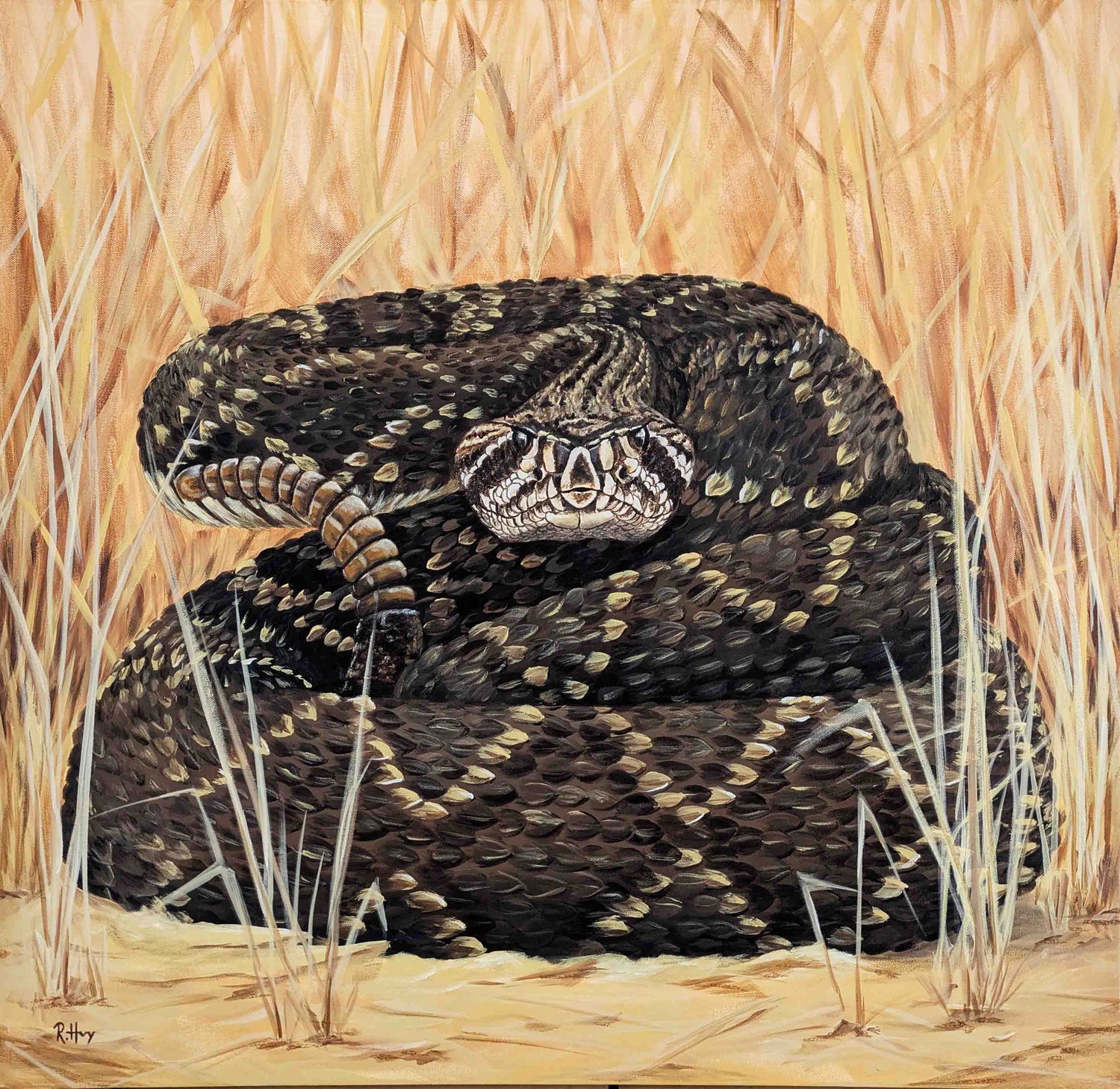 An acrylic painting of an eastern diamondback rattlesnake. He is curled up in some dry grass.