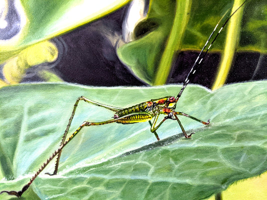 Katydid Original Painting