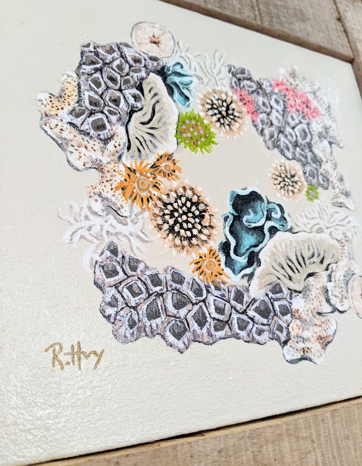 Tide Pool Original Painting