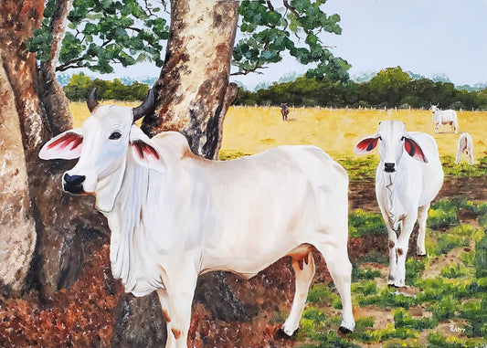 Cows in a Potrero Field Original Painting