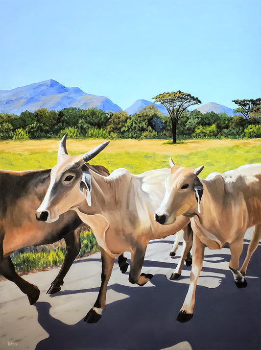 Running Cows in Potrero Original Painting
